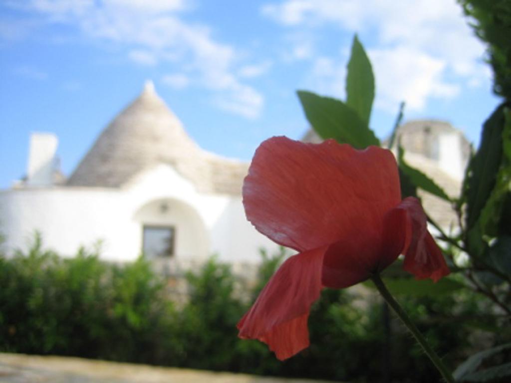 La Trullesa Holiday Alberobello Exterior photo